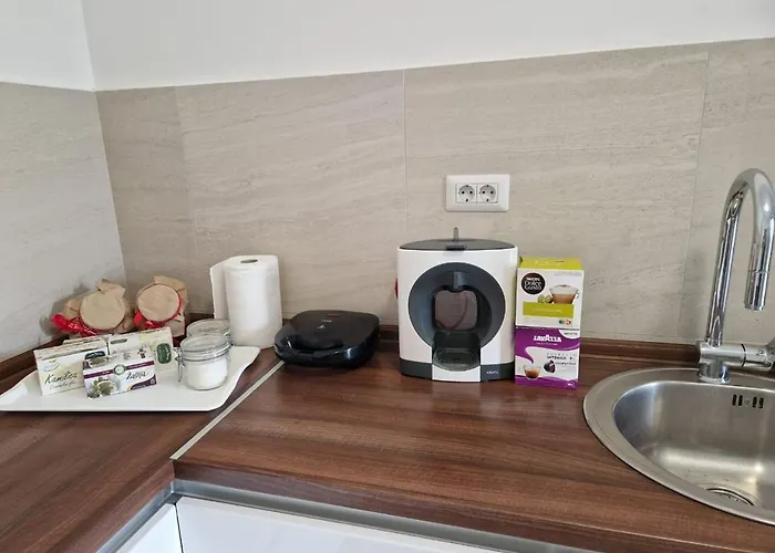 Your Second In * Podgoriçe